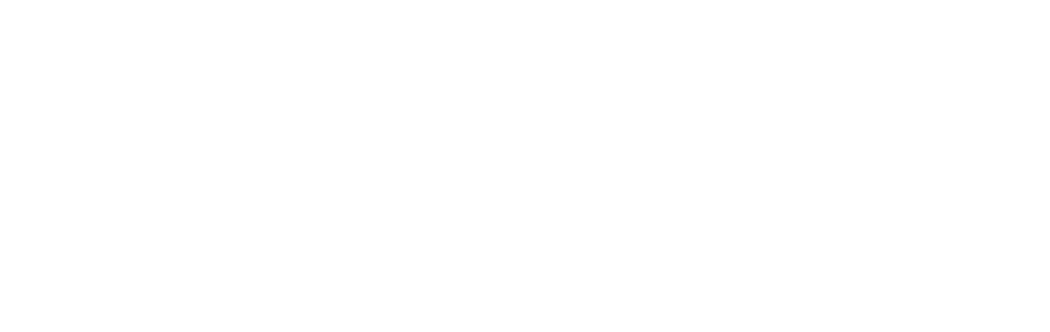 2080 Solutions